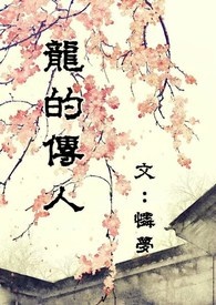 龍的傳人小说封面