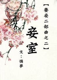 妻妾成群第二季 电视剧封面